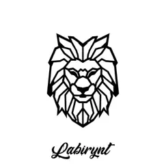 Labirynt - Single by Marcin Czerwiński album reviews, ratings, credits