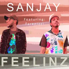 Feelinz (feat. Farenizzi) - Single by Sanjay album reviews, ratings, credits