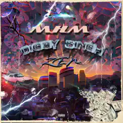 Mhm (feat. ZEN) - Single by Diggy Singh album reviews, ratings, credits