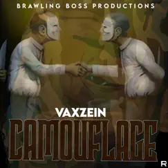 Camouflage - Single by Vaxzein album reviews, ratings, credits