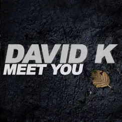Meet You (Remixes) - Single by David K album reviews, ratings, credits