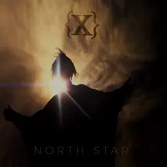 North Star - Single by IAMX album reviews, ratings, credits