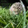 Ein Starker Start - Single album lyrics, reviews, download