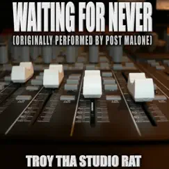 Waiting For Never (Originally Performed by Post Malone) [Karaoke] - Single by Troy Tha Studio Rat album reviews, ratings, credits