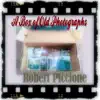 Box of Old Photographs - Single album lyrics, reviews, download