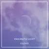 Enigmatic Light - Single album lyrics, reviews, download