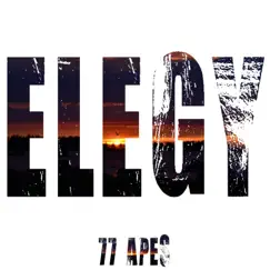 Elegy - Single by 77 Apes album reviews, ratings, credits