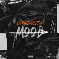 Mood - Single by E4rmdacity album reviews, ratings, credits