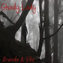 Shady Lady - Single by Brenda & Ellis album reviews, ratings, credits