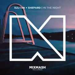 In The Night - Single by Sultan + Shepard album reviews, ratings, credits