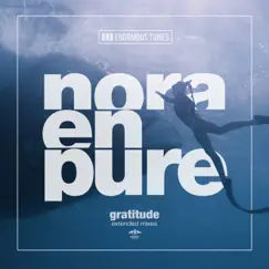 Gratitude (Extended Mixes) - Single by Nora En Pure album reviews, ratings, credits