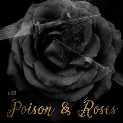 Poison and Roses - Single by Boy George album reviews, ratings, credits