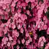 Lullaby - Single album lyrics, reviews, download