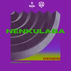 Nenkulaba - Single by Denesi album reviews, ratings, credits