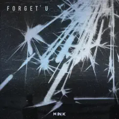 Forget U - Single by WINK album reviews, ratings, credits