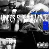 Under Surveillance 2 album lyrics, reviews, download