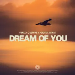 Dream of You (Chill Out) Song Lyrics