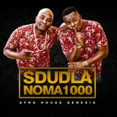 Udlala Ngami (feat. Dj Micks) Song Lyrics