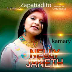 Nelly Janeth Y Kamary - Single by Music festival Andina album reviews, ratings, credits