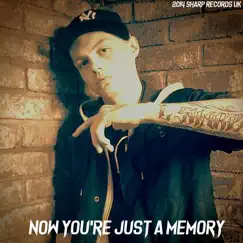 Now You're Just A Memory - Single by L Sharp album reviews, ratings, credits