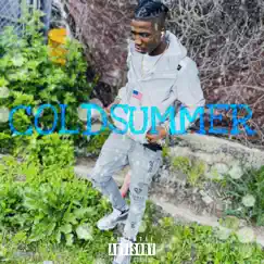Cold Summer - Single by LinXer album reviews, ratings, credits