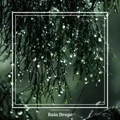 Rain Drops - Single by SerenitySounds album reviews, ratings, credits