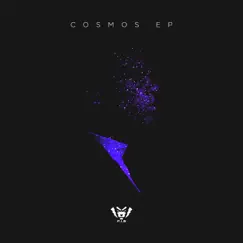 Cosmos EP by P.I.M album reviews, ratings, credits