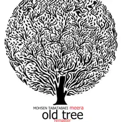 Old Tree (feat. Farzam Rahimi) Song Lyrics