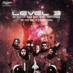 Level 3 (feat. Parris Chariz, Torey D'Shaun, RAW - B, SiLVeR STePH, Roy Tosh & Wande) Song Lyrics