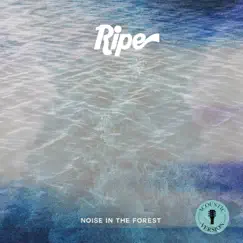 Noise in the Forest (Acoustic) - Single by Ripe album reviews, ratings, credits