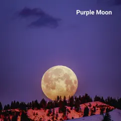 Purple Moon Song Lyrics