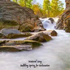 Bubbling Spring for Relaxation - Single by Natural Song album reviews, ratings, credits