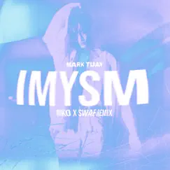 Imysm (NIIKO X SWAE Remix) Song Lyrics