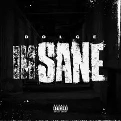 Insane - Single by Dolce album reviews, ratings, credits