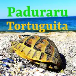 Tortuguita (Festival Music) - Single by Cristian Paduraru album reviews, ratings, credits