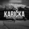 Karička (Techno remix) - Single album lyrics, reviews, download