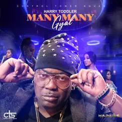 Many Many Gyal - Single by Harry Toddler album reviews, ratings, credits