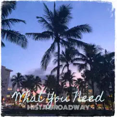 What You Need - Single by Mista Broadway album reviews, ratings, credits