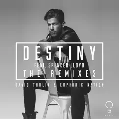 Destiny (feat. Michael Fearon & Spencer Lloyd) [Michael Fearon Extended Remix] Song Lyrics