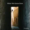 What We Know Now - Single album lyrics, reviews, download