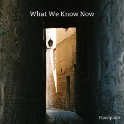 What We Know Now Song Lyrics