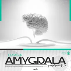 Amygdala - Single by DAWKR album reviews, ratings, credits