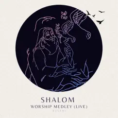 Shalom Worship Medley: Shalom / Still / Dance Like David (Live) Song Lyrics