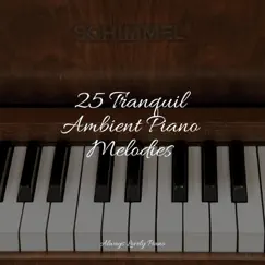 25 Tranquil Ambient Piano Melodies by Study Music & Sounds, Classical Piano Academy & Chillout Lounge Relax album reviews, ratings, credits