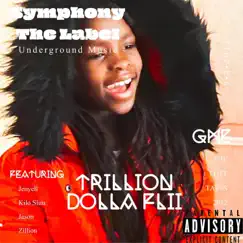Trillion Dolla Flii (feat. Jay Alleyne, Kilo Slim, Jenyell & Zillion) Song Lyrics