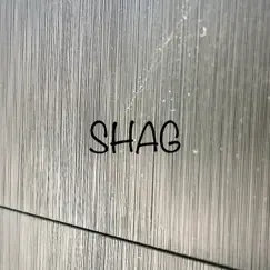 SHAG - Single by Ardapez album reviews, ratings, credits