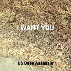 I Want You - Single by US Bass Assassin album reviews, ratings, credits