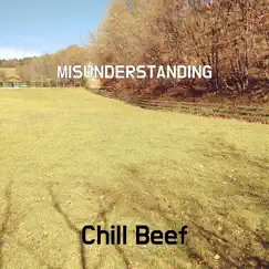 Misunderstanding - Single by Chill Beef album reviews, ratings, credits