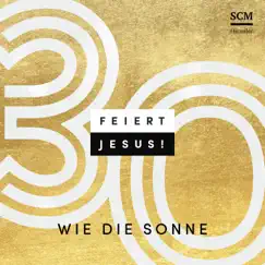 Wie die Sonne (feat. Lena Belgart) - Single by Feiert Jesus! album reviews, ratings, credits