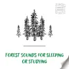 Forest Sounds for Sleeping or Studying (White Noise), Loopable album lyrics, reviews, download